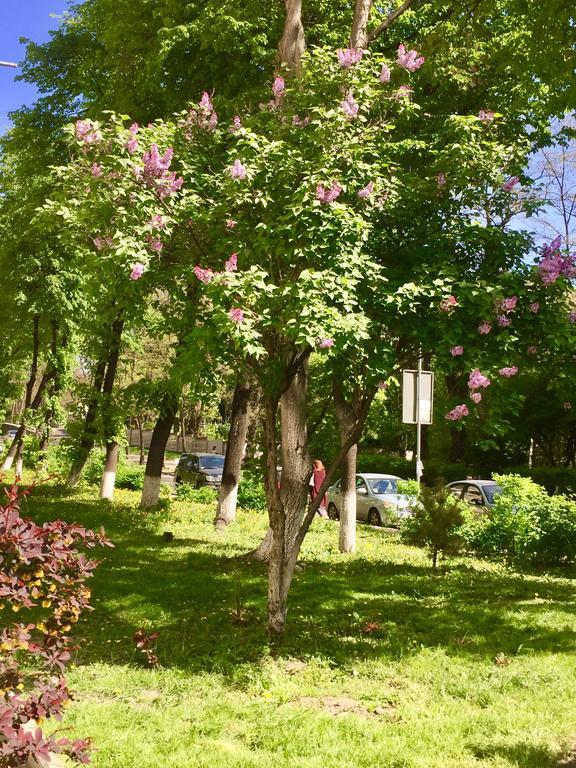 Westend Hostel 基輔 外观 照片